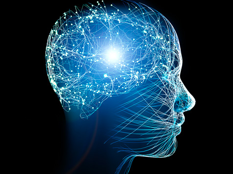 Neurology, philosophy: connections, the development of thought and reflection, the infinite possibilities of the brain and mind. Human anatomy